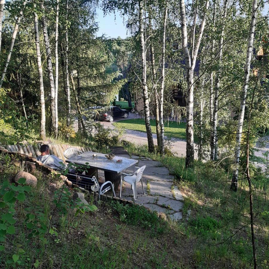 Agroturystyka Brzozowe Wzgorze Wlen ภายนอก รูปภาพ