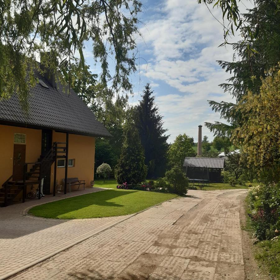Agroturystyka Brzozowe Wzgorze Wlen ภายนอก รูปภาพ